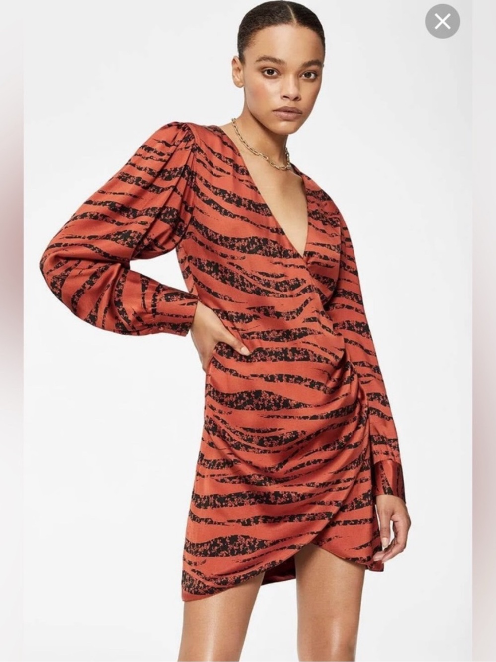 Anine Bing Penelope Zebra Tiger Print Dress Size XS